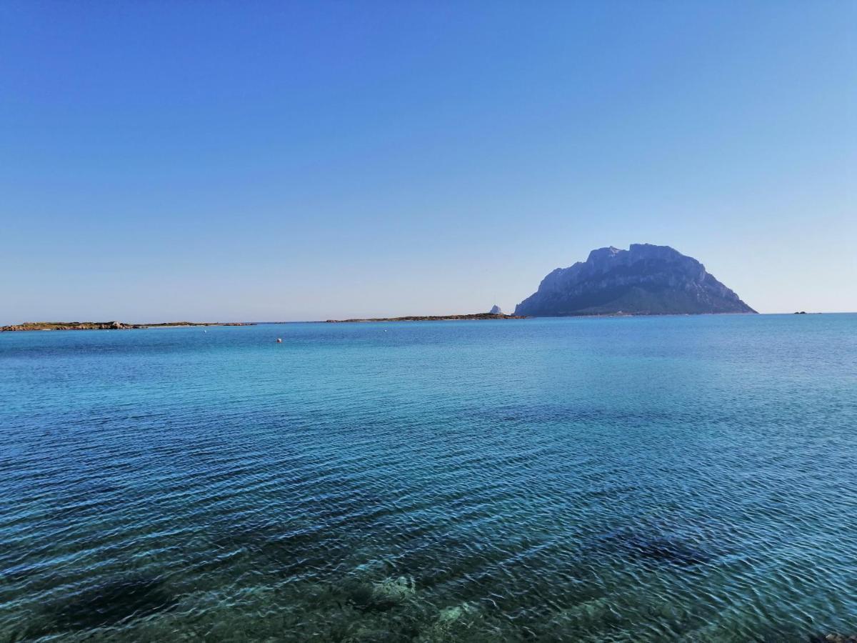 Aria Di Vacanza - Molara Loiri Porto San Paolo Экстерьер фото
